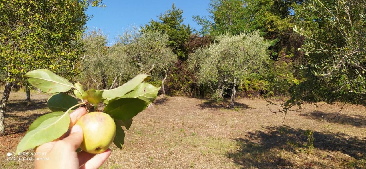 La Stanza Del Sole Pension Matraia Buitenkant foto